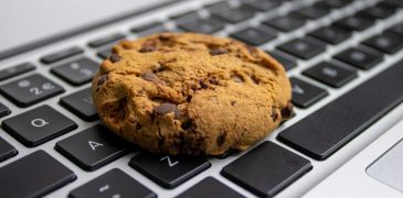Cookie laying on laptop keyboard